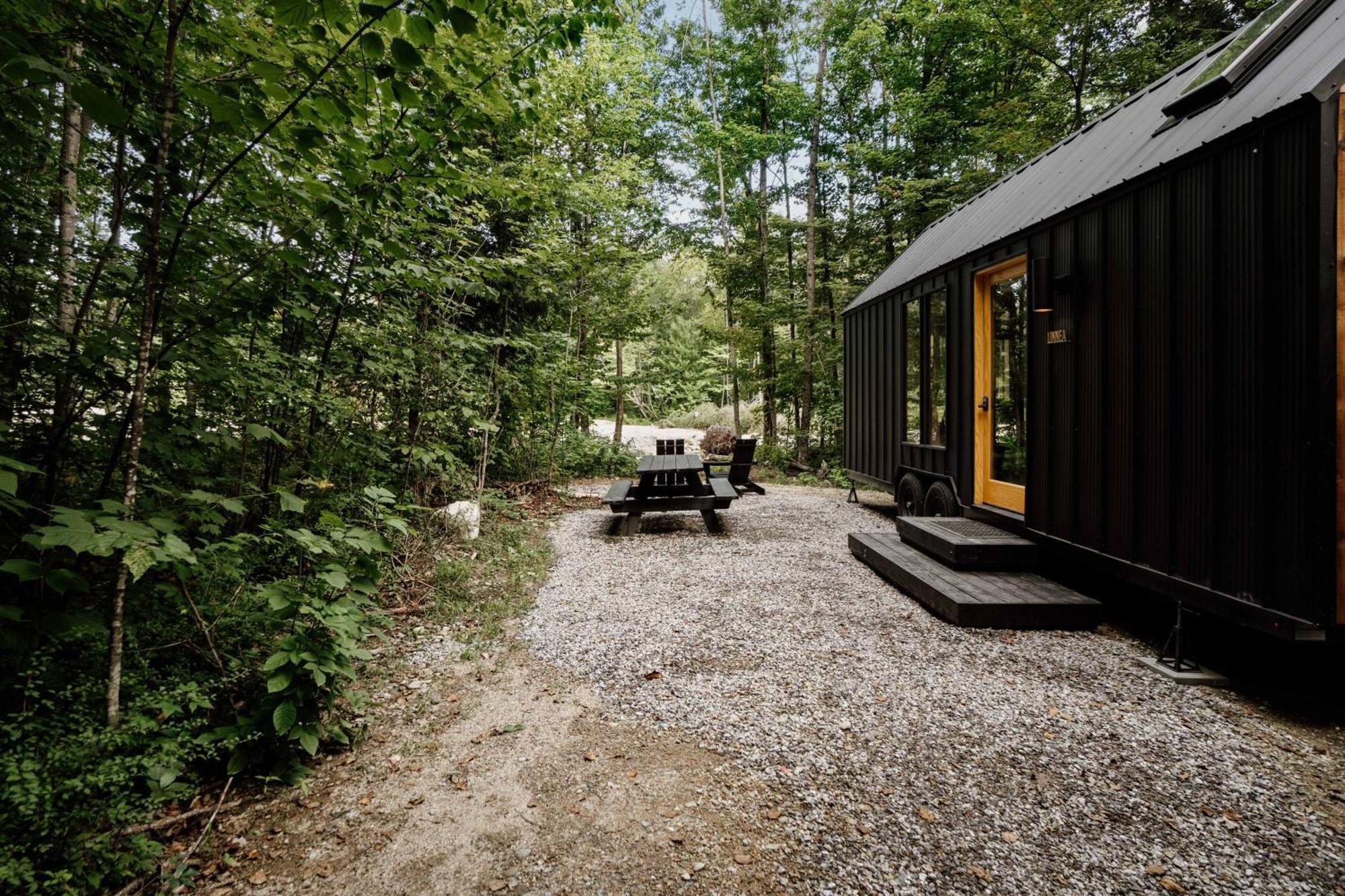 Lumen Nature Retreat Woodstock Dış mekan fotoğraf